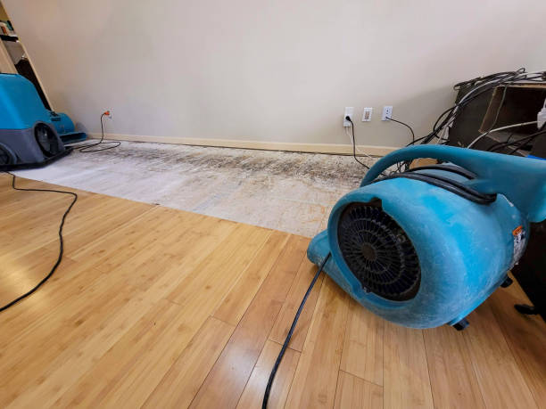 Professional Emergency Water Damage technician working in Coaldale, PA